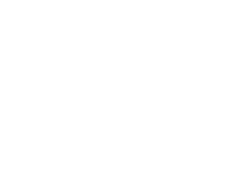 BLUEBIRD PHOTOVOLTAICS